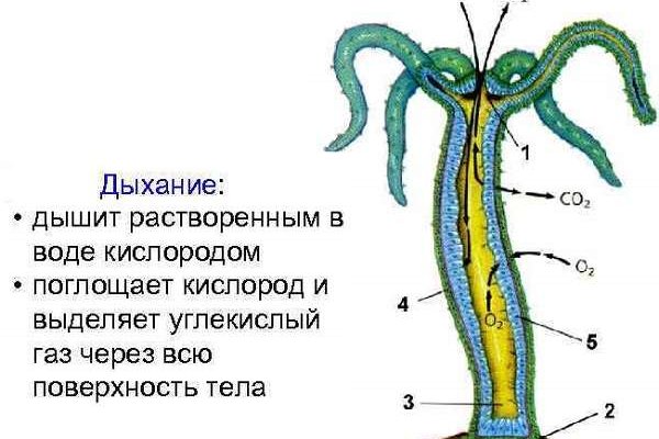 Кракен продажа