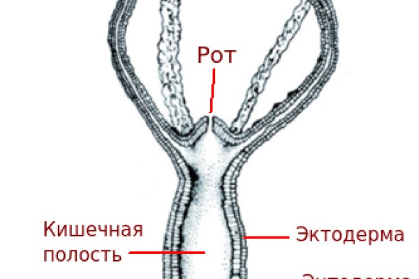 Сайт кракен тор браузера