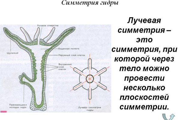 Кракен рабочая ссылка 2024