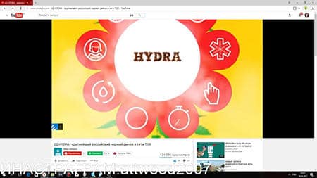 Где найти ссылку на кракен
